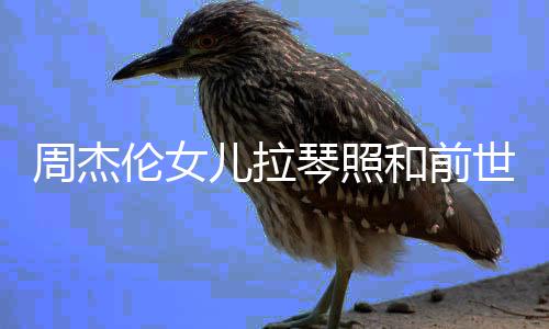 名字伦女伦女周杰周杰和前人M世情什么V一样 儿拉儿叫琴照